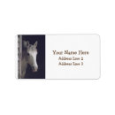 Search for ranching photography Farm animals