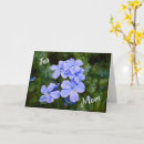 Search for blue flowers mothers day cards Garden