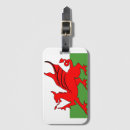 Search for dragon accessories Wales