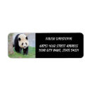 Search for kawaii return address labels Animal