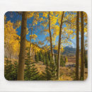 Search for juan mousepads Forest
