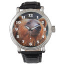 Search for wildlife watches Brown bear
