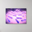 Search for pathogen Medical