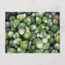 Search for bright green postcards Food