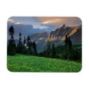 Search for logan magnets Montana