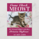 Search for check postcards Kitty