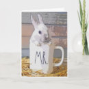 Search for bunny cards Fun