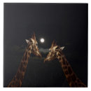 Search for moonlight tiles Animal