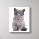Search for british shorthair cat art Cute