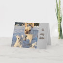 Search for snowman birthday cards Photography