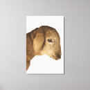 Search for innocent canvas prints Domestic animals