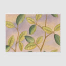 Search for sunset tissue paper Green