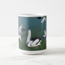Search for sea gull mugs Wildlife
