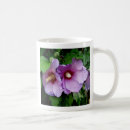 Search for sharon mugs Rose of sharon