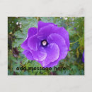 Search for deep purple postcards Flower