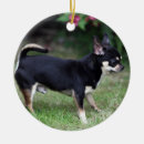 Search for alert christmas tree decorations Standing