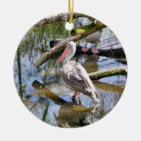 Search for pelican christmas tree decorations Photography