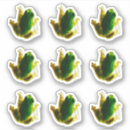 Search for funny toad Amphibians