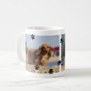 Search for black paw print mugs Photo collage