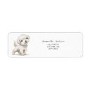 Search for dog return Canine