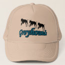 Search for dog run hats Running