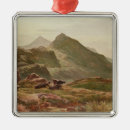 Search for richard christmas tree decorations Collection