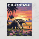 Search for anteating postcards Wildlife