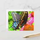 Search for keep in touch postcards Friends