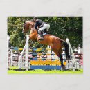 Search for jump postcards Show jumping