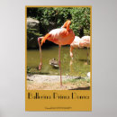 Search for prima posters Ballerina