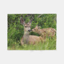 Search for danita delimont blankets Fawn