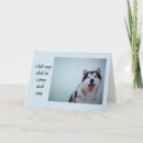 Search for siberian husky dog birthday cards Funny
