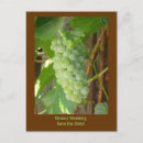 Search for grape wedding postcards Wine