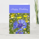 Search for cornflower cards Blue
