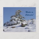 Search for colorado postcards Winter