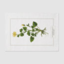 Search for 1885 Floral