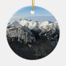 Search for wonderful christmas tree decorations Snow