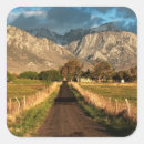 Search for canyon stickers Nature