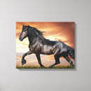 Search for black horse canvas prints Horses