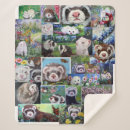 Search for ferret gifts Animals