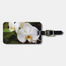 Search for fragile luggage tags Colour image