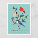 Search for snow birds postcards Cardinal