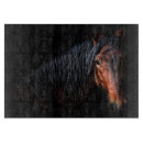 Search for cooking photography Animals