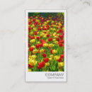 Search for tulips business cards Modern