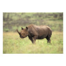 Search for rhino art Big