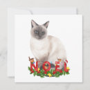 Search for siamese christmas cards Watercolor