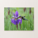 Search for ruby throated photography Wildlife
