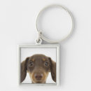 Search for wieners key rings Dog