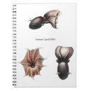 Search for vampire notebooks Vintage