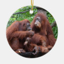 Search for orangutan christmas tree decorations Animals